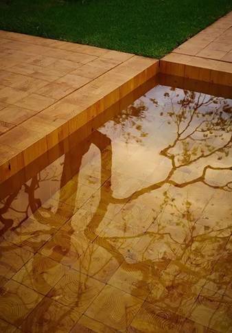 WDCM�ϴ�ͼƬ