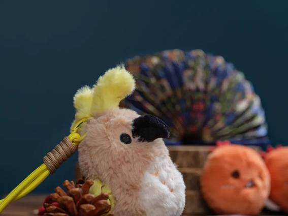 ͼƬ